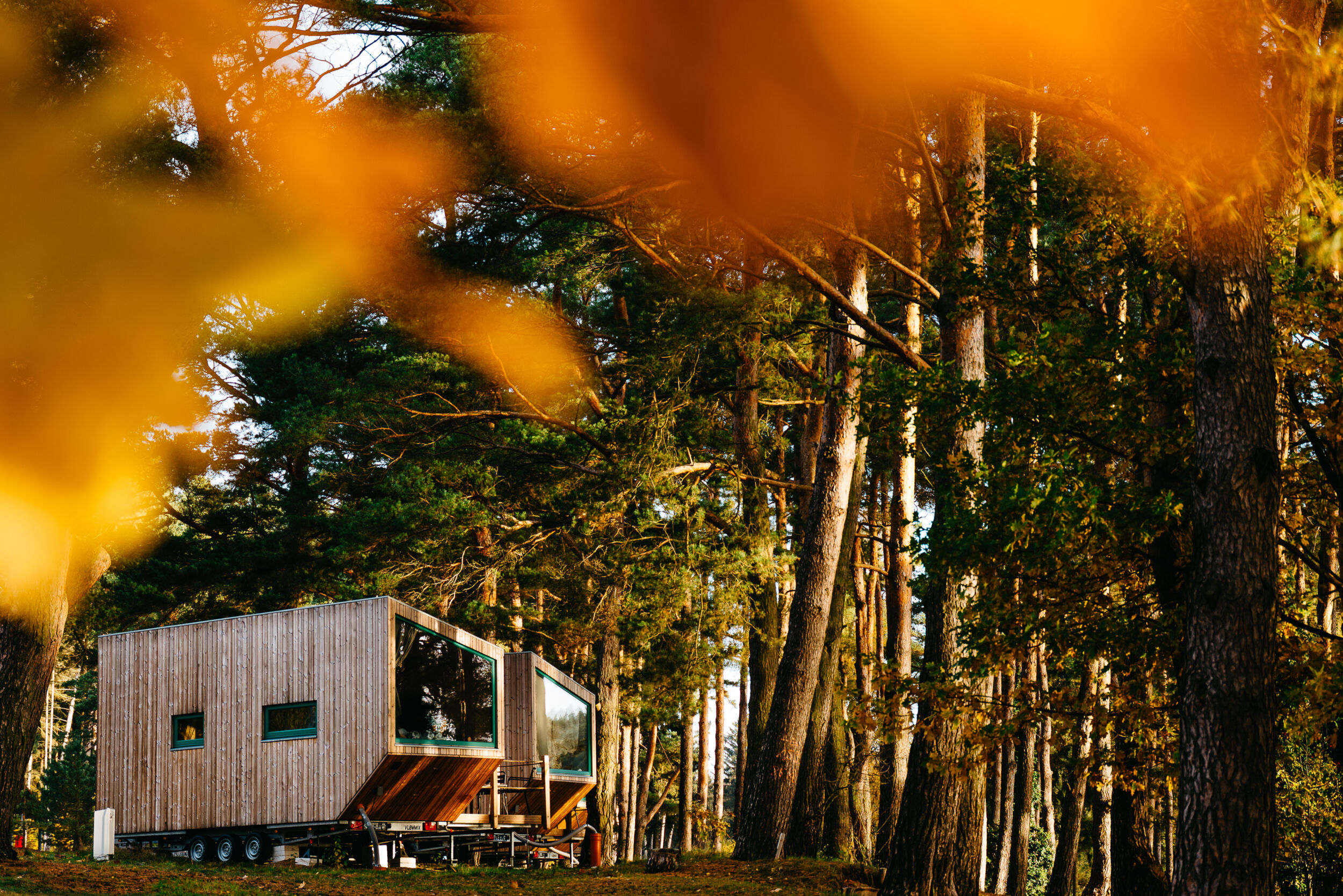 Ein modernes Tiny House auf Rädern steht inmitten hoher Bäume, im Vordergrund eingerahmt von orangefarbenen Herbstblättern – eine perfekte Kulisse für gemütliche Herbstcamping-Abenteuer.