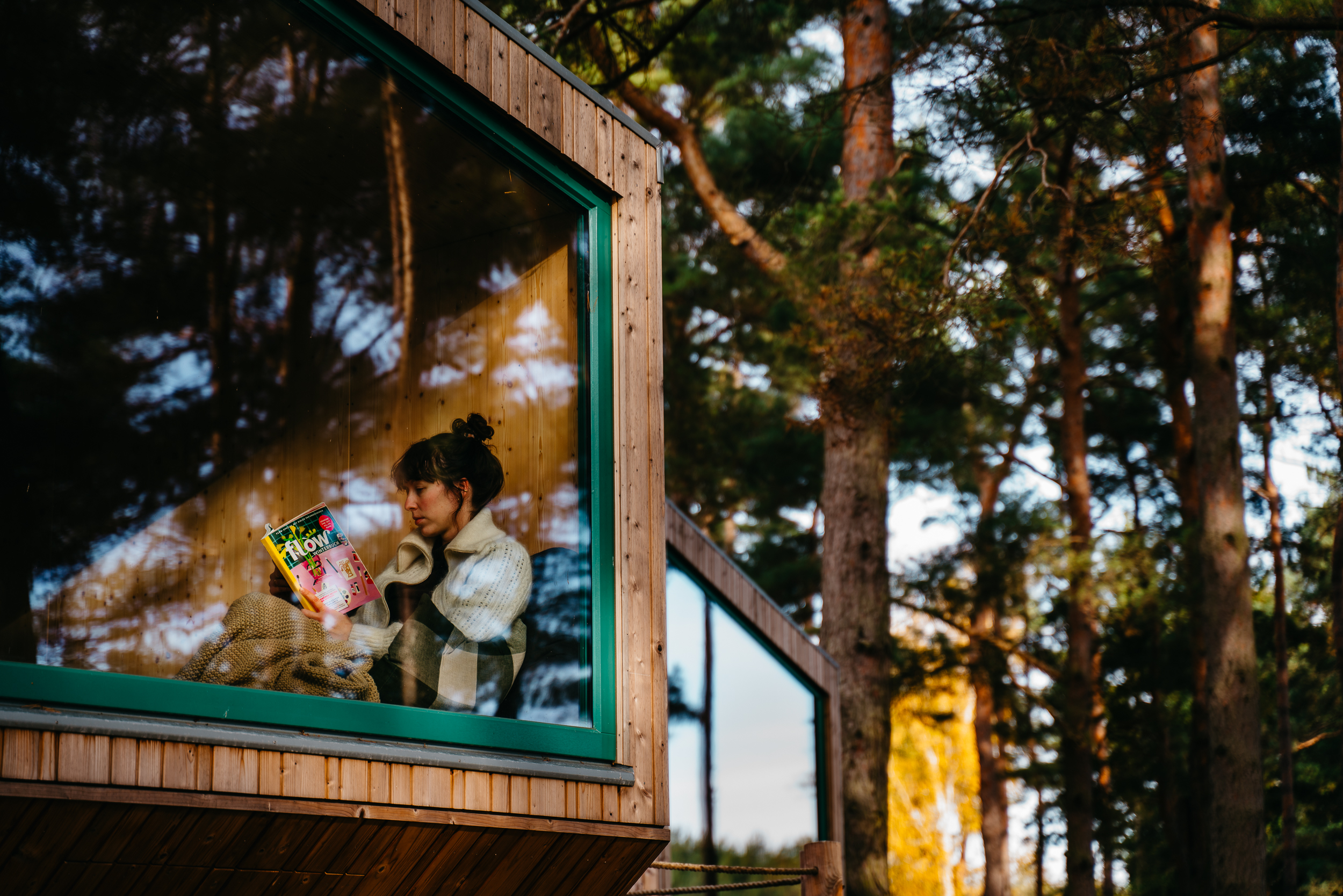 Eine Person sitzt an einem großen Fenster in einer Holzhütte, liest ein buntes Buch und ist von hohen Bäumen umgeben.