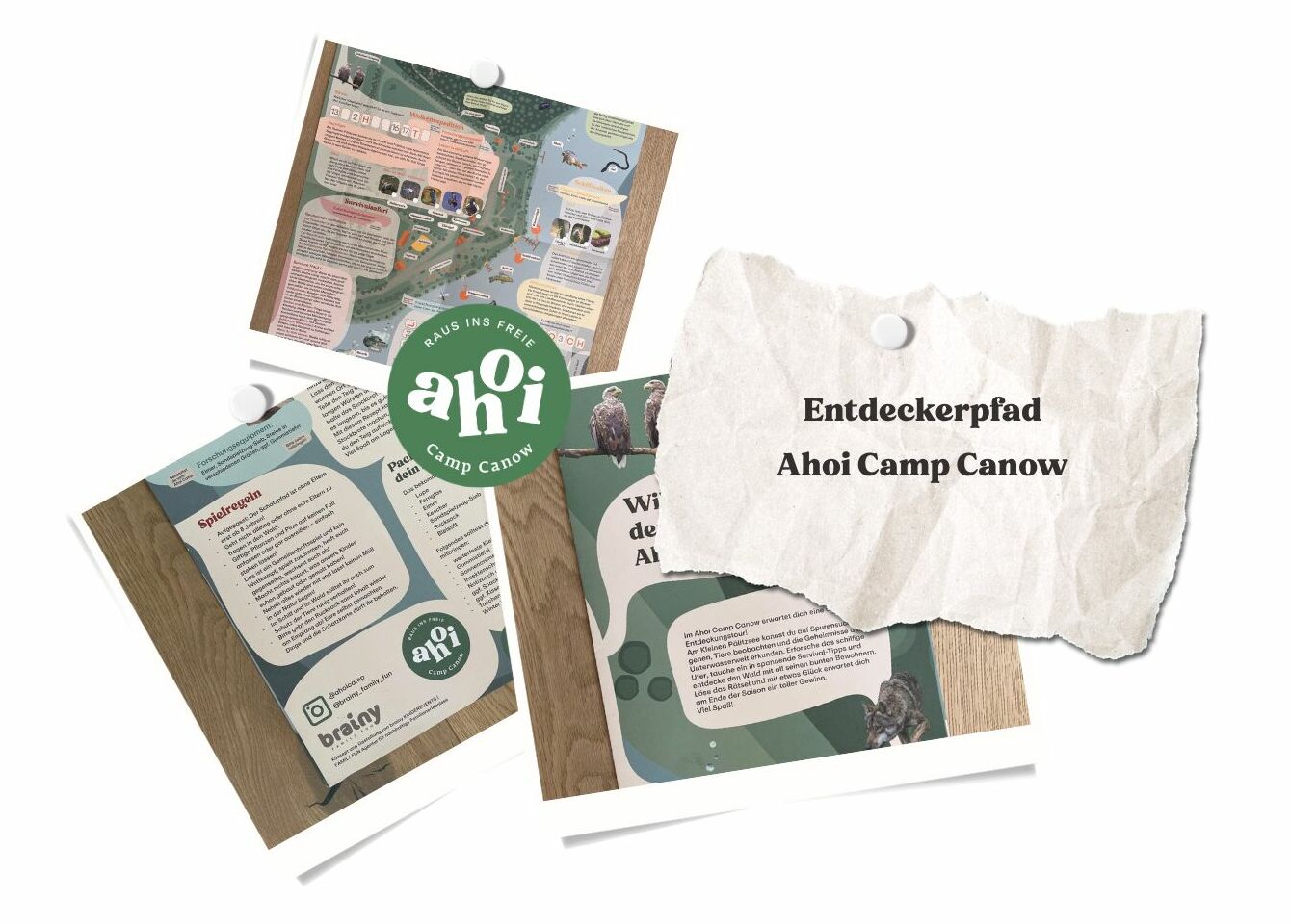 Vier illustrierte Informationsblätter und ein zerrissenes Blatt Papier mit der Aufschrift „Entdeckerpfad Ahoi Camp Canow“ sind ausgestellt und laden durch ansprechende Bilder und kreative Details dazu ein, den abenteuerlichen Schatzpfad zu erkunden.